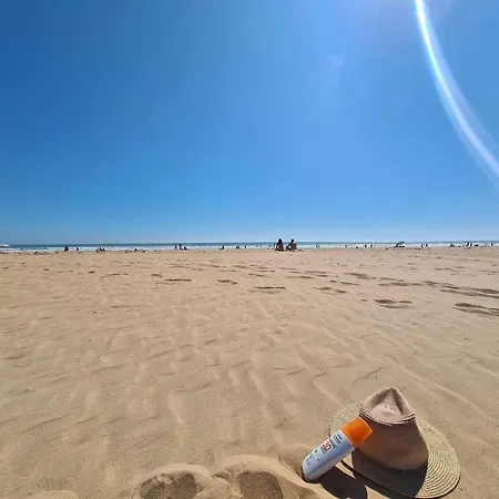 Sj130-503 - 2 Pieces 4 Couchages - Saint Jean De Monts * Plage-des-Demoiselles